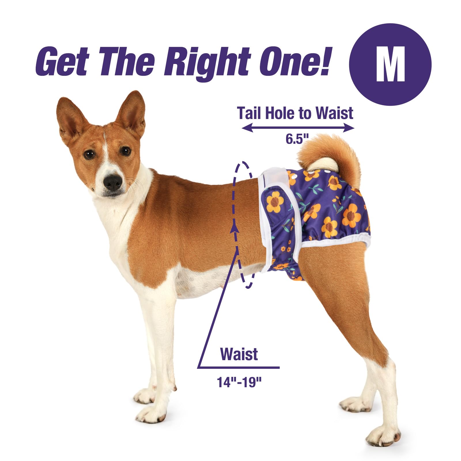 Pet Soft Diapers absorbent-inner-pad highlights quick-absorb design for accidents and heat cycles.