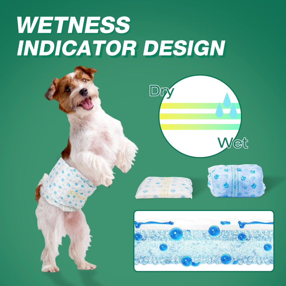 Pet Soft dog diapers 24-count pack with mixed patterns suits daily wear