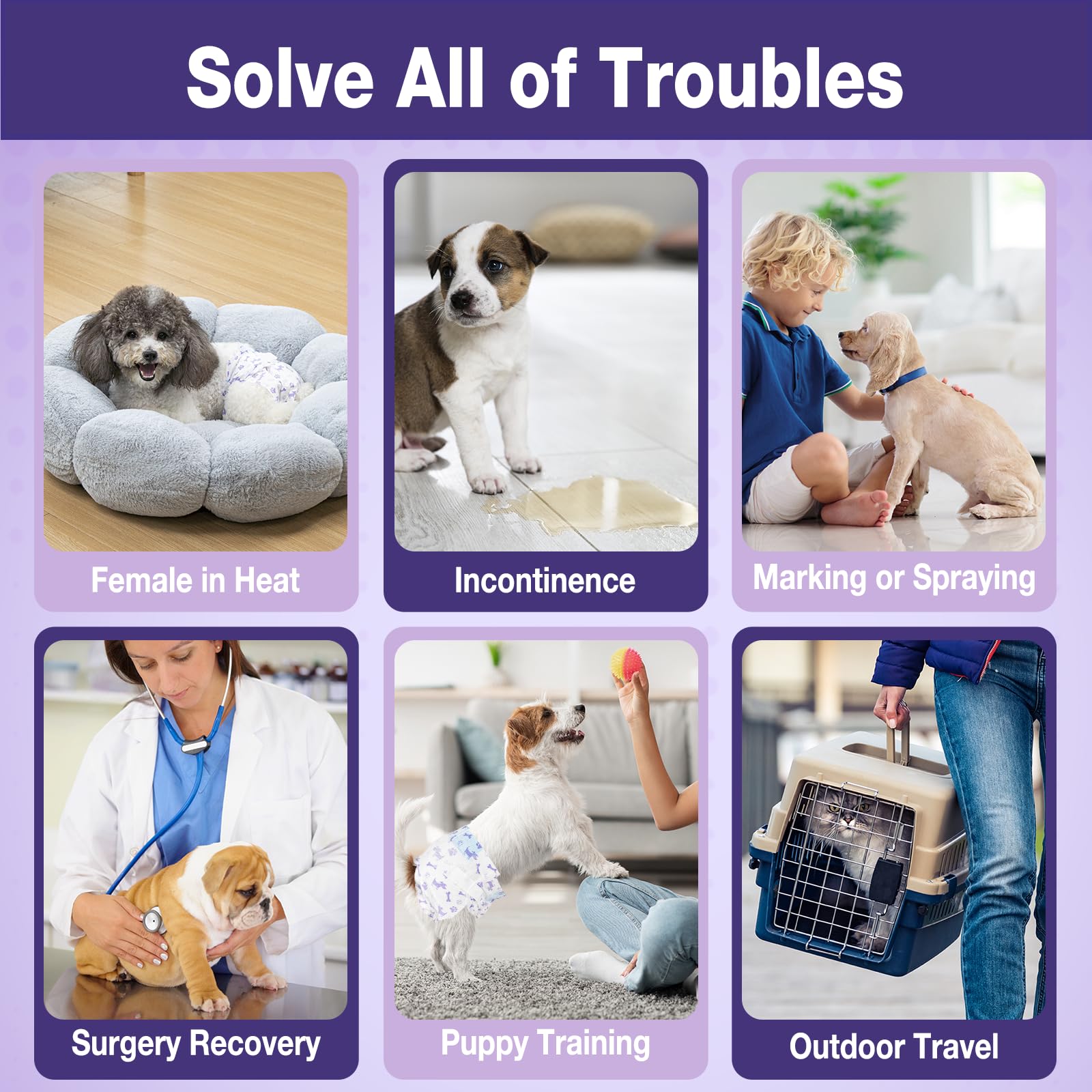 Pet Soft dog diapers breathable outer layer keeps dogs comfortable year-round