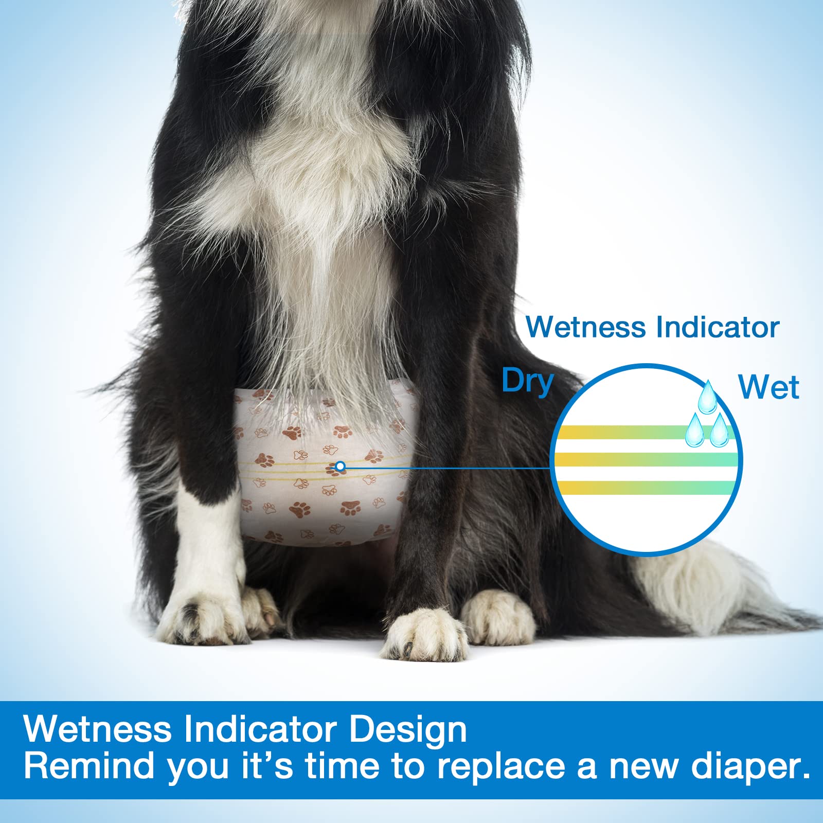 Pet Soft brown paws pattern on diaper adds playful styling with reliability