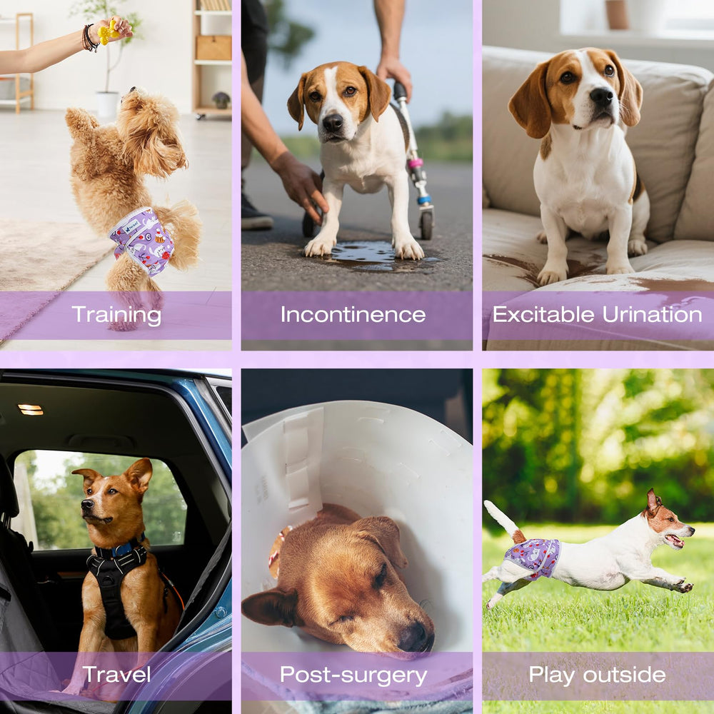 Pet Soft dog diapers easy-on-off design for quick changes.