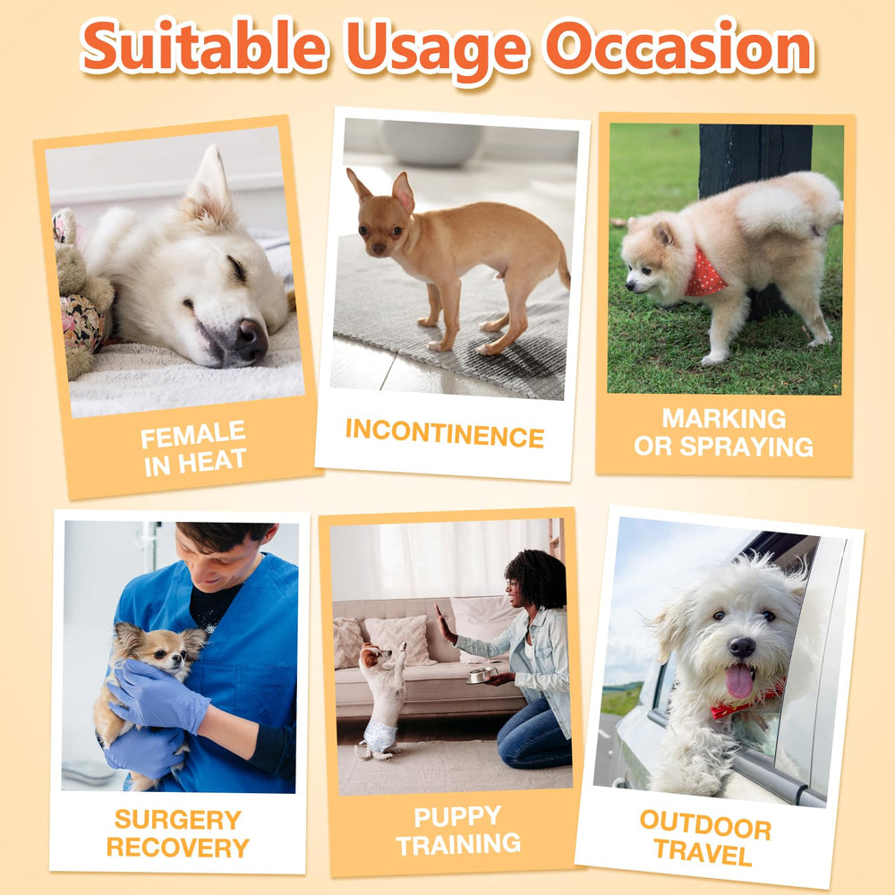 Pet Soft dog-diapers-in-use-heat-puppy-senior illustrate versatile protection for various life stages