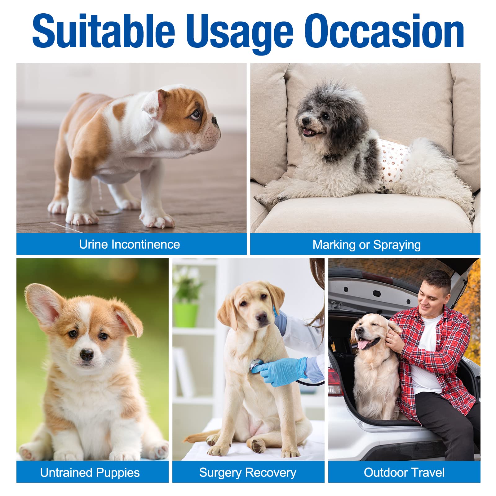 Pet Soft dog diapers small wrap fit guide illustration helping proper sizing