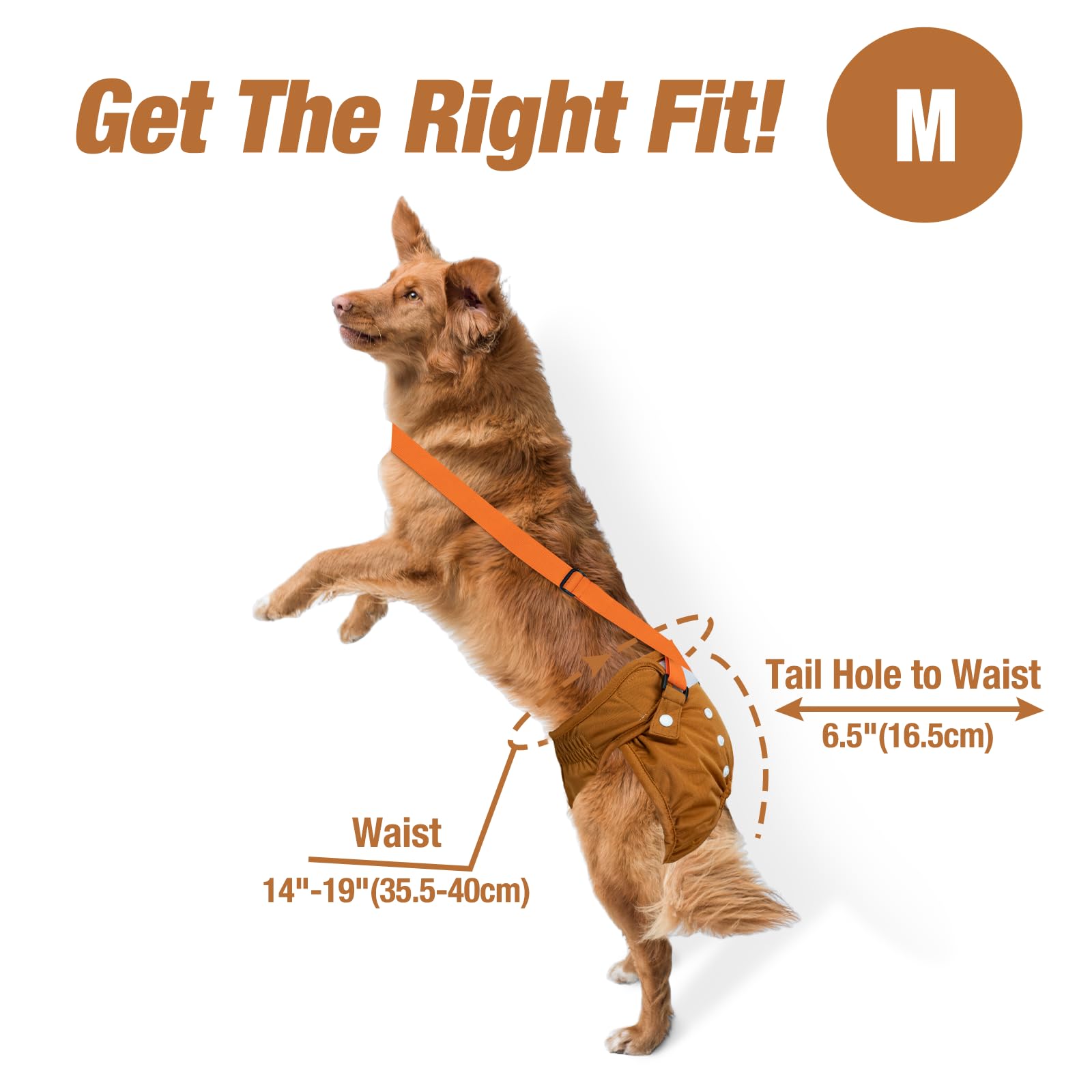 Pet Soft dog diapers suspenders velcro closure highlight strong hold and quick adjustability