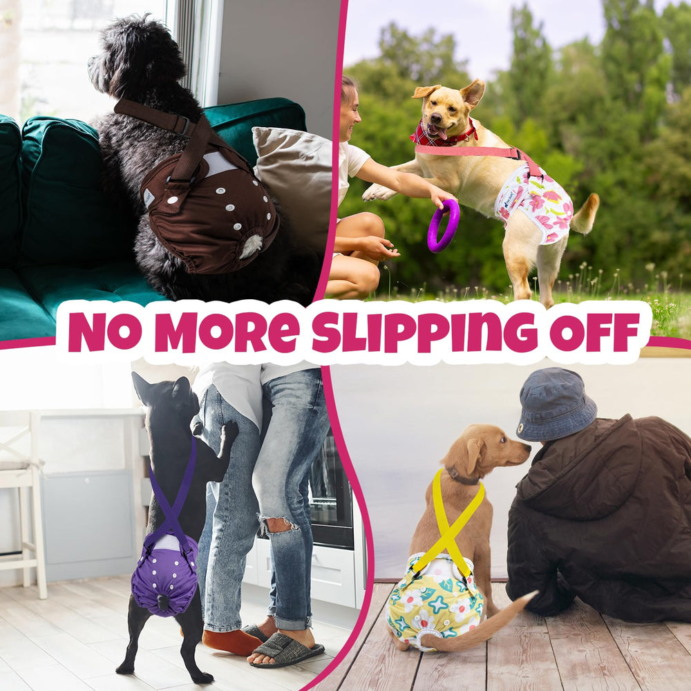 Pet Soft travel-friendly use for trips and grooming.