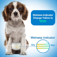 Pet Soft diapers are ideal for travel and outdoor activities.