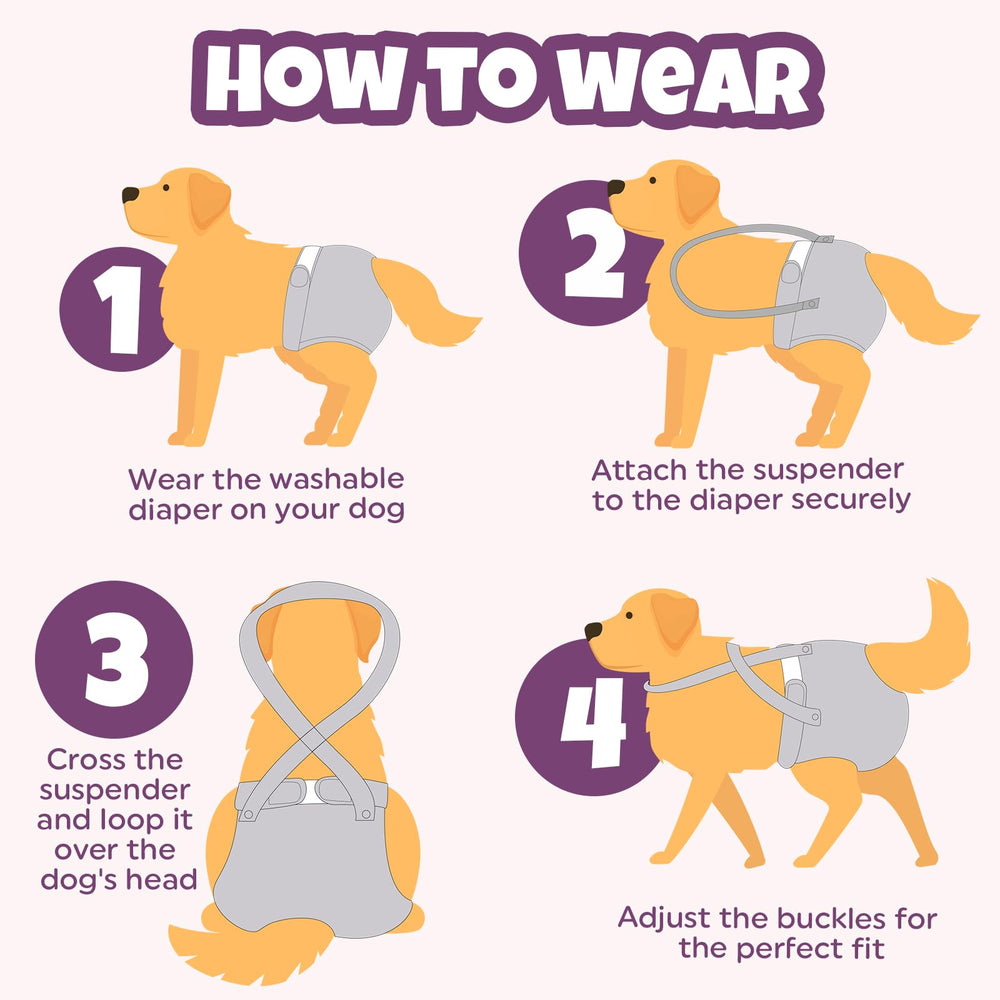 Pet Soft suitable for heat, training, and light incontinence scenarios when traveling.