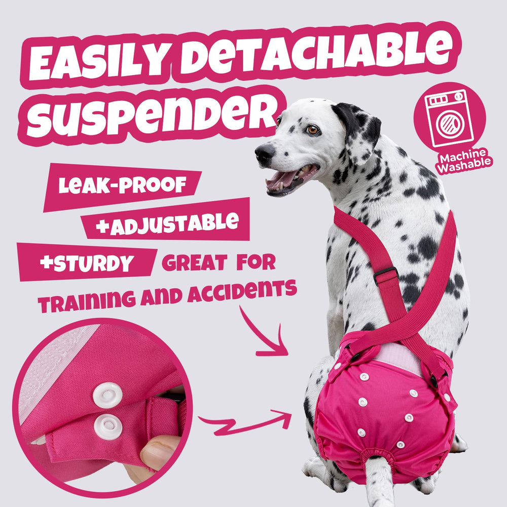 Pet Soft leak-proof outer layer contains accidents and odors.