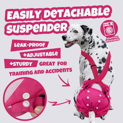 Pet Soft leak-proof outer layer contains accidents and odors.