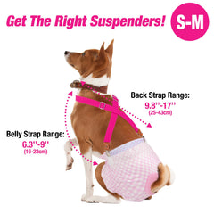 Pet Soft diaper-keeper in use shows diaper stay-put performance.