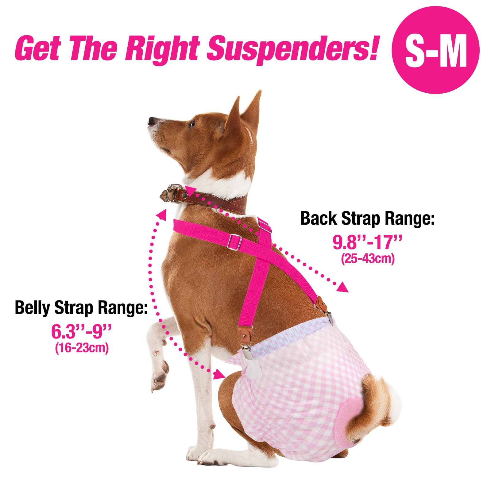 Pet Soft dog suspenders no-neck choking triple-webbing design.
