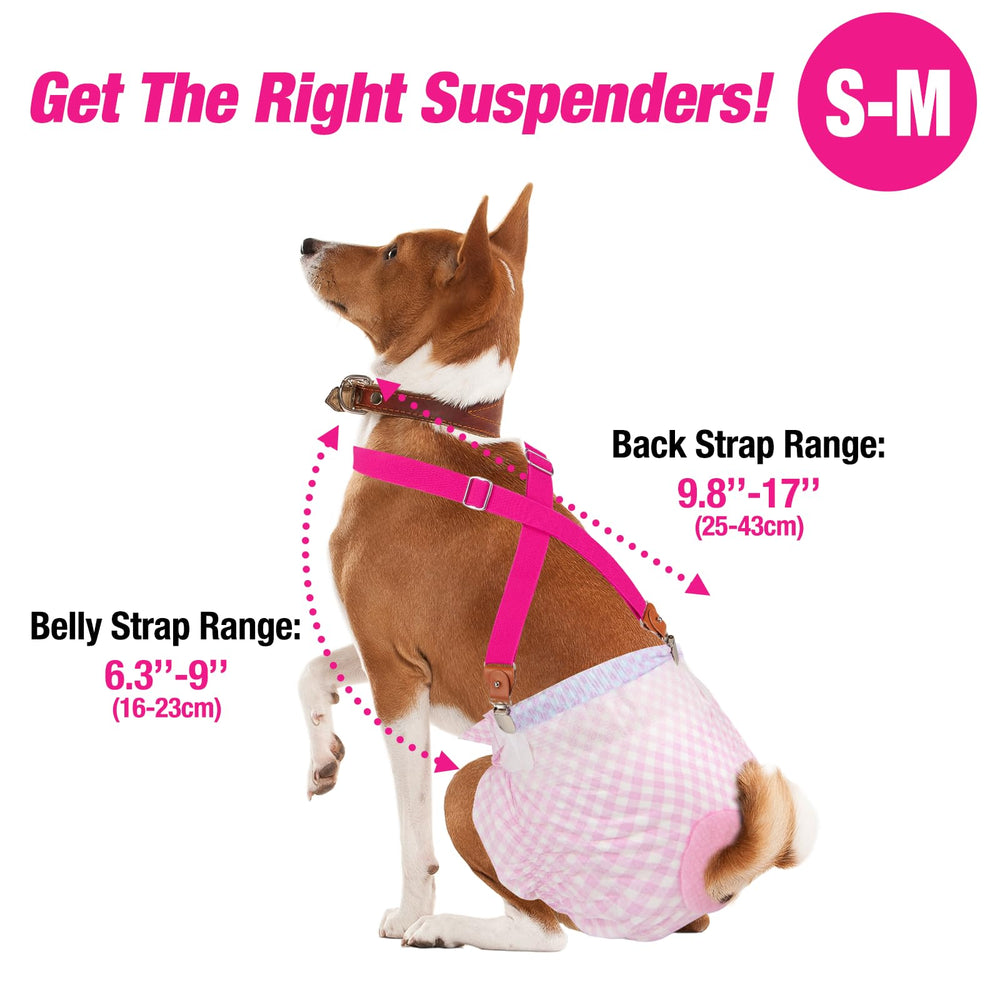 Pet Soft dog suspenders no-neck choking triple-webbing design.