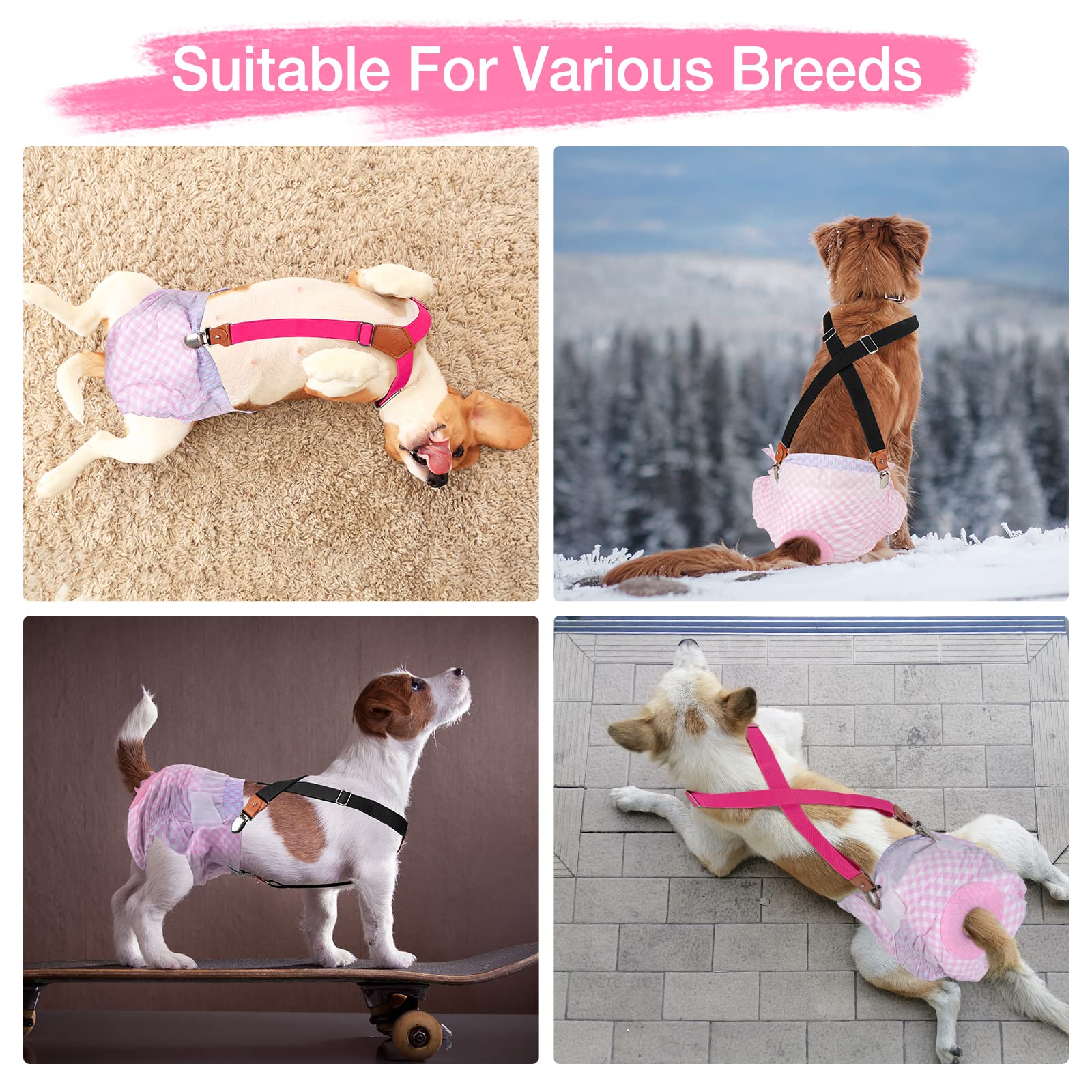Pet Soft dog suspenders replaceable metal clips for easy upkeep.
