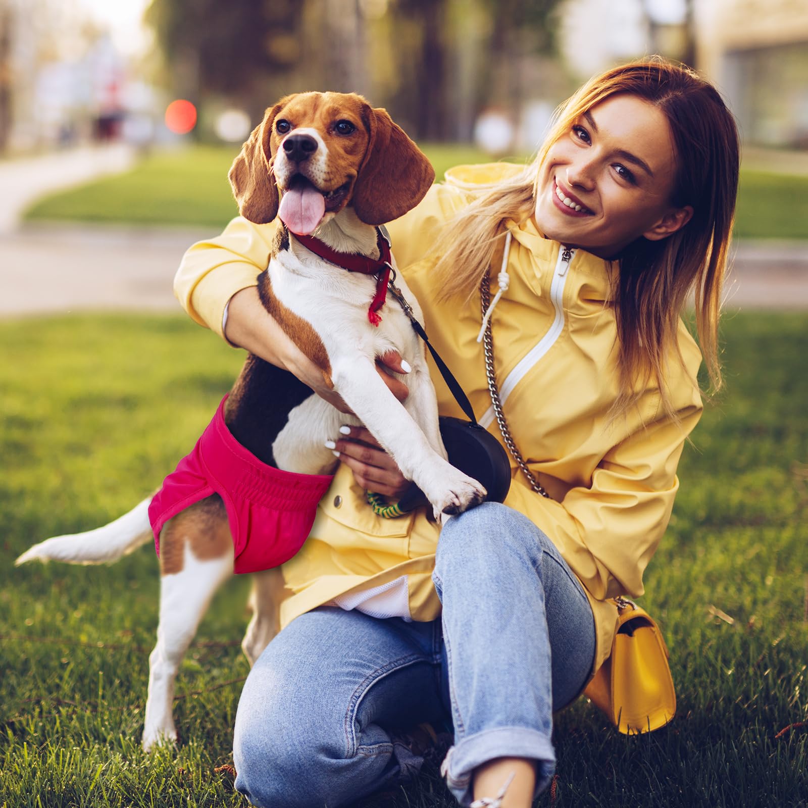 Pet Soft dog wearing diaper during play demonstrates secure fit.