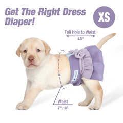 Pet Soft easy-on-off diaper with secure closures for active dogs.