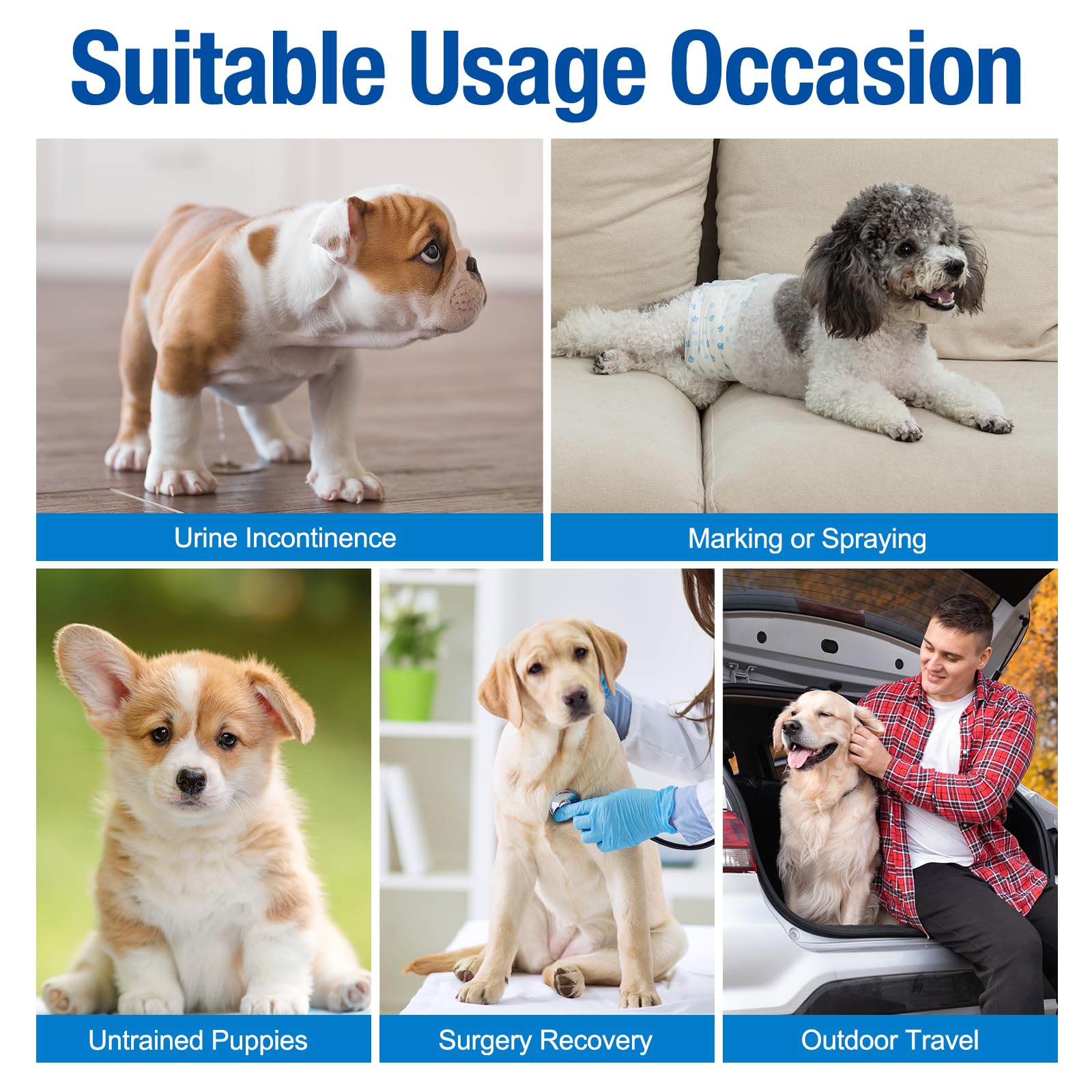 Pet Soft easy-on-off wrap design for quick changes at home or outdoors.