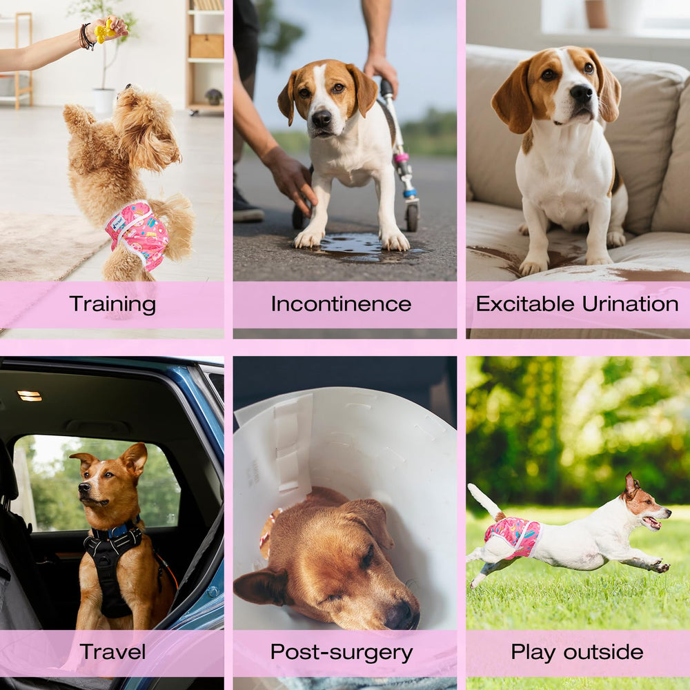 Pet Soft easy-on-off design speeds up diaper changes.