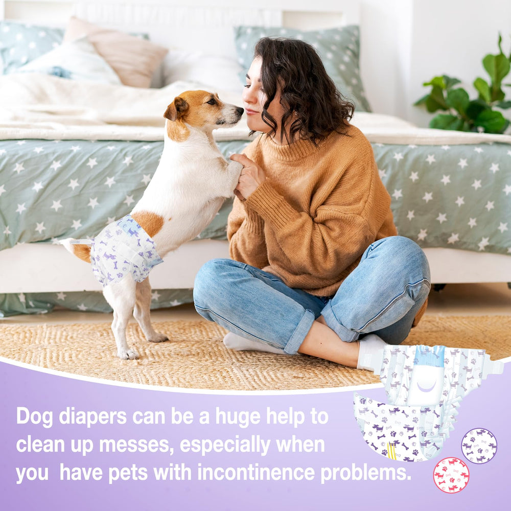 Pet Soft on-dog view shows secure fit and comfort.