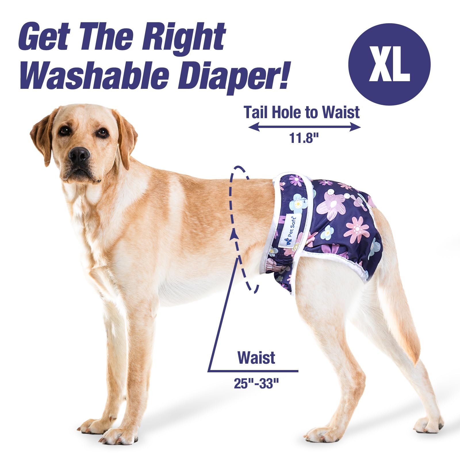 Pet Soft Washable Female Diapers quick-absorb-pad shows fast liquid uptake and odor control.