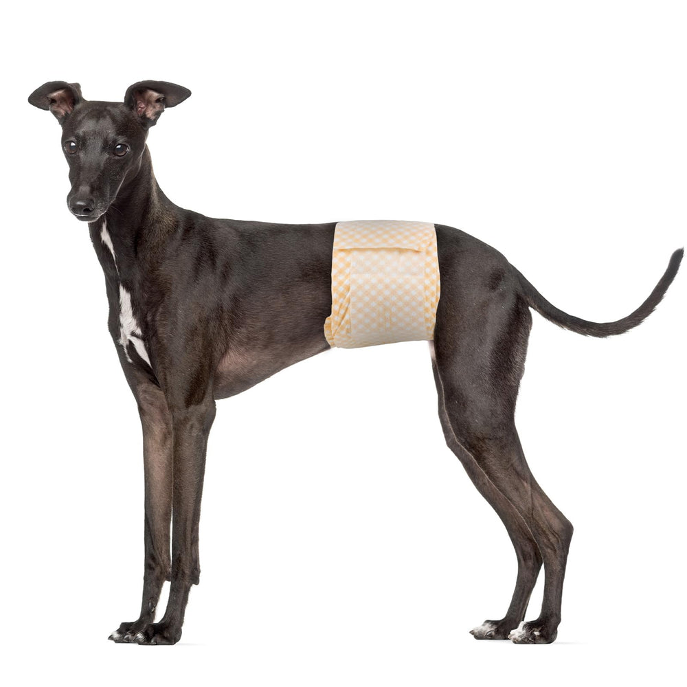 Pet Soft Customer Service, support info included for quick assistance.