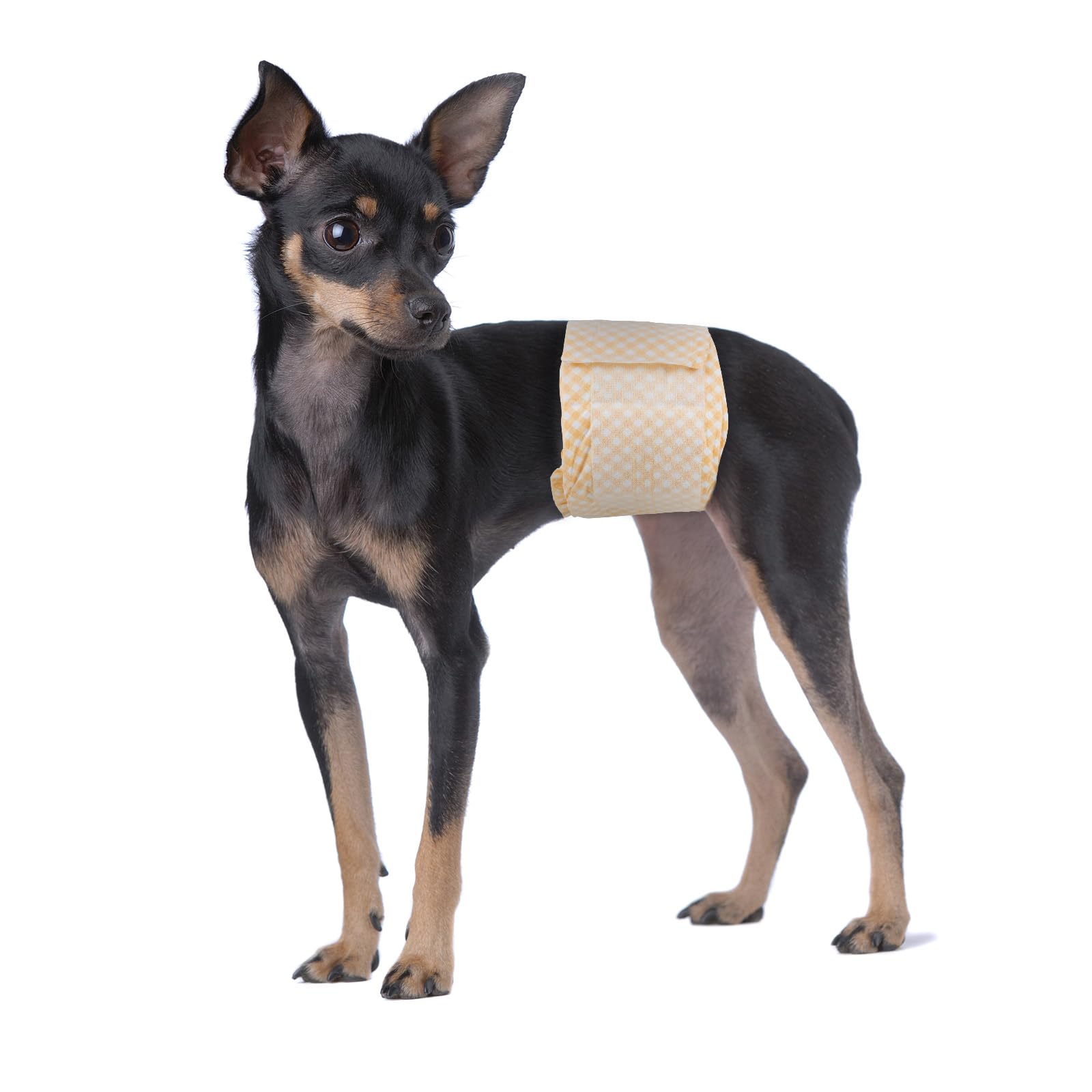 Pet Soft customer-support icon suggests responsive assistance after purchase.
