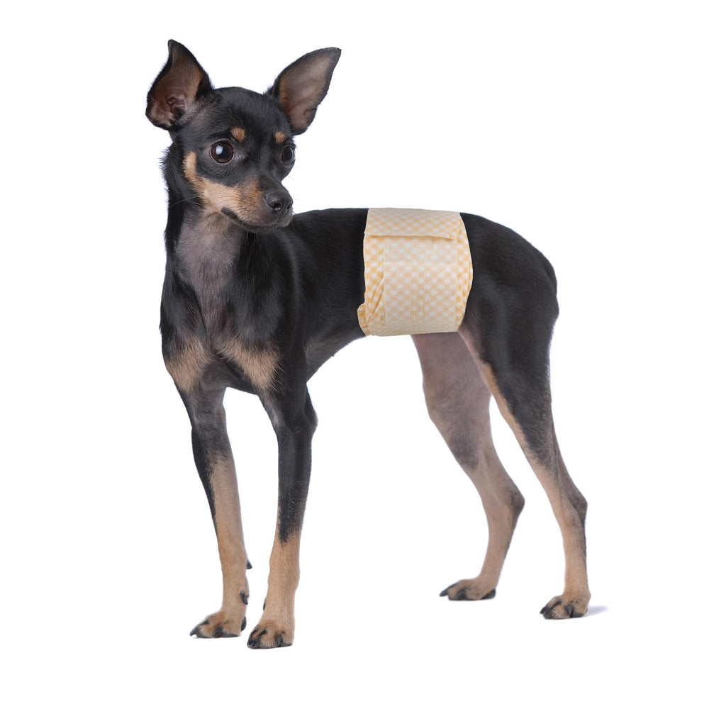 Pet Soft customer-support icon suggests responsive assistance after purchase.