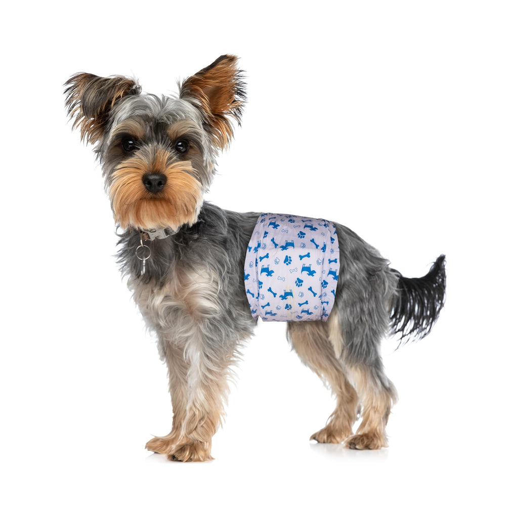Pet Soft measurement guidance helps ensure a comfortable, secure fit.