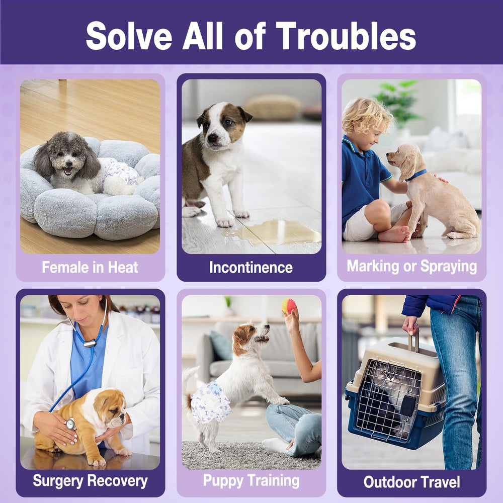 Pet Soft mixed-patterns diapers add cute style while protecting spaces.