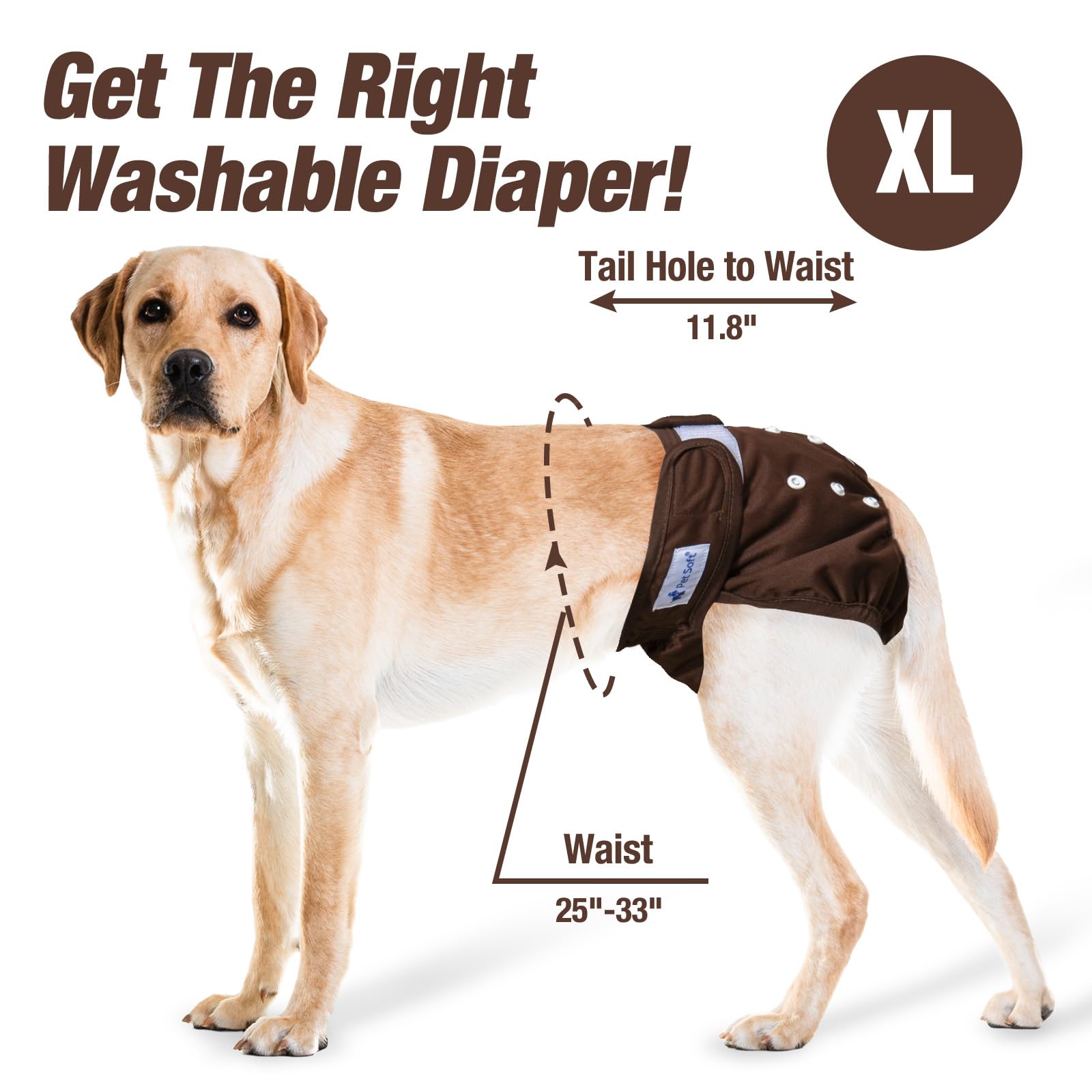 Pet Soft quick-absorb inner pad keeps dogs comfy and rooms clean