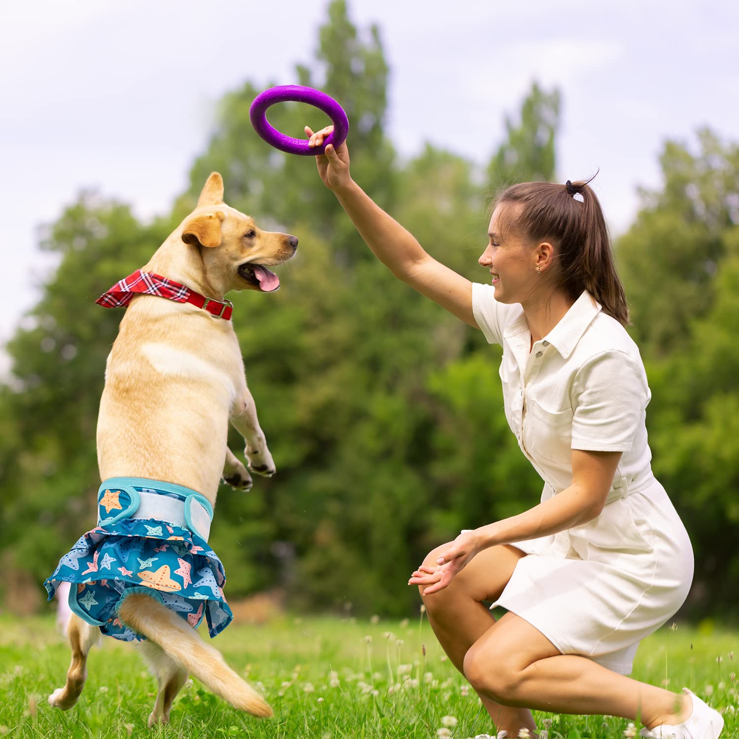 Pet Soft size chart guides choosing the right fit.