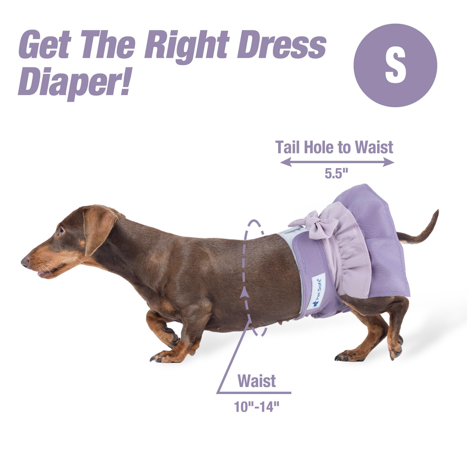 Pet Soft three-pattern-pack-diapers-04 demonstrates economical, reusable protection
