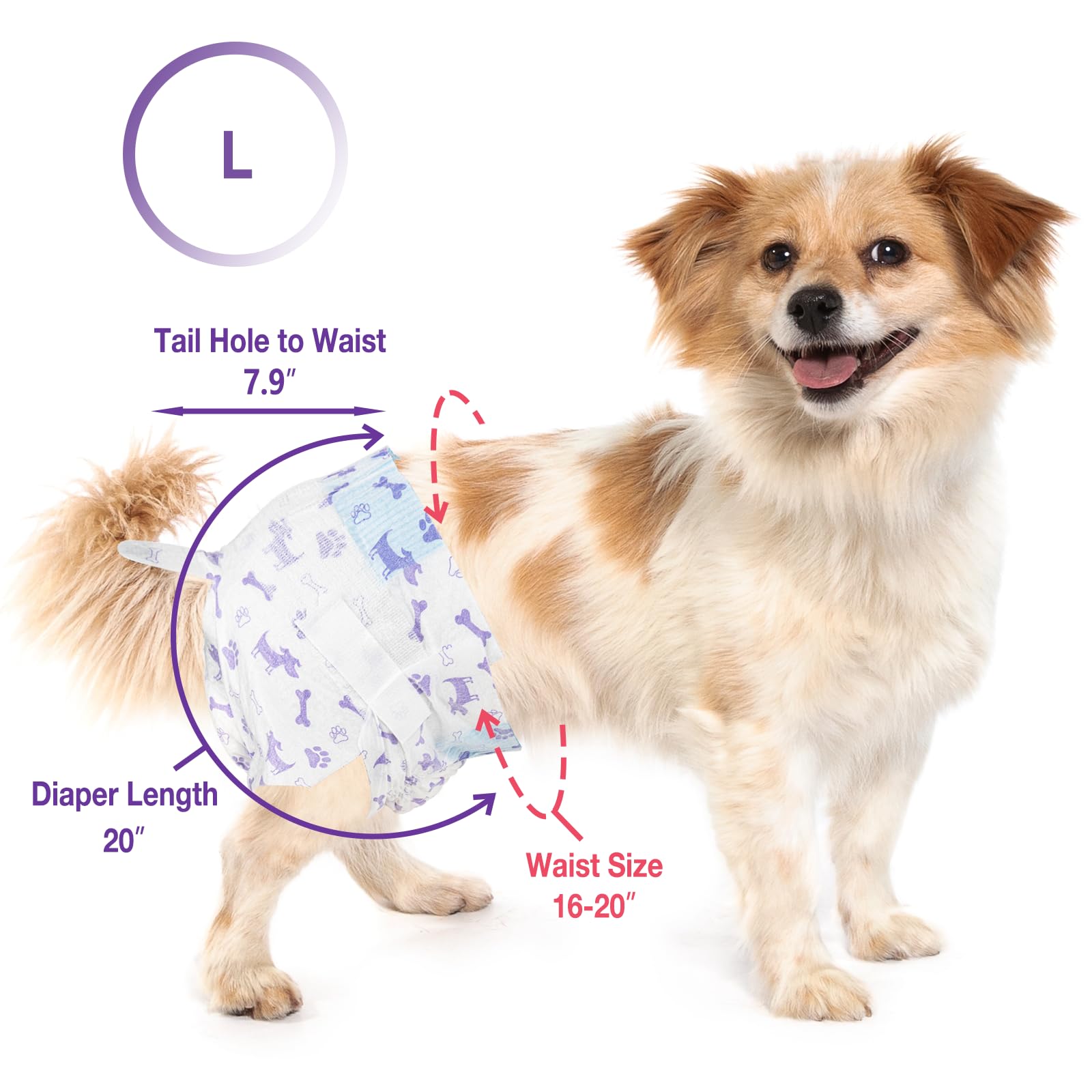 Pet Soft travel-use dog diapers help protect floors during trips