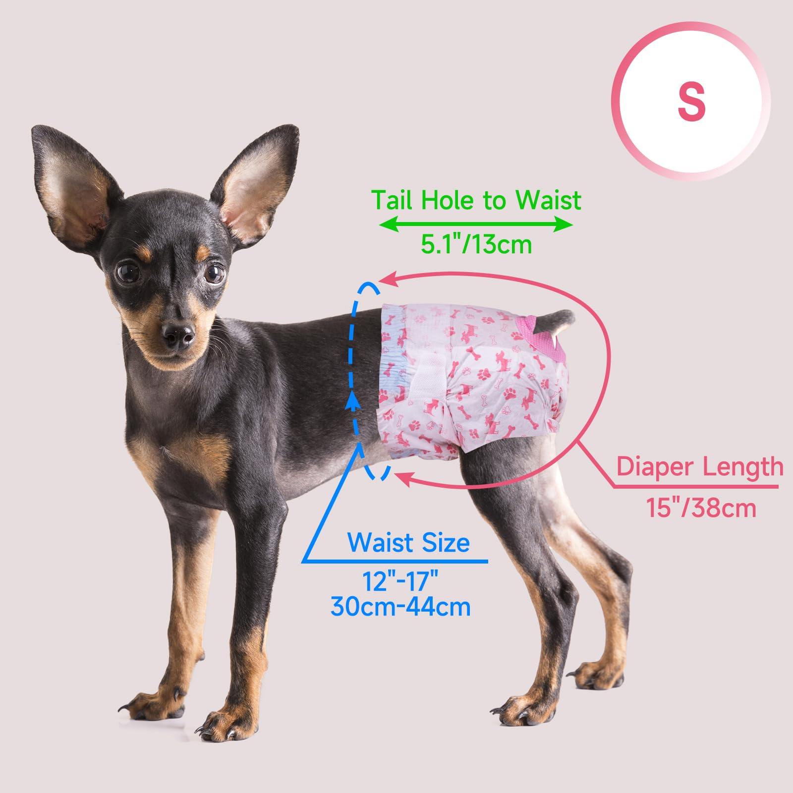 Pet Soft travel use dog diapers ideal for trips and daily outings
