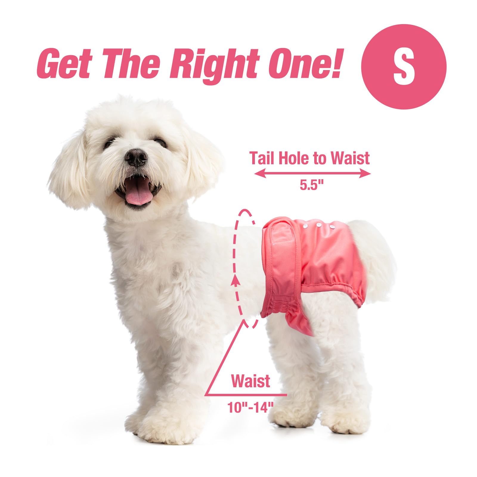 Pet Soft Washable Diapers durable fabric withstands frequent washing for daily use.