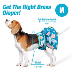Pet Soft three-pack emphasizes economy and reuse for busy households.