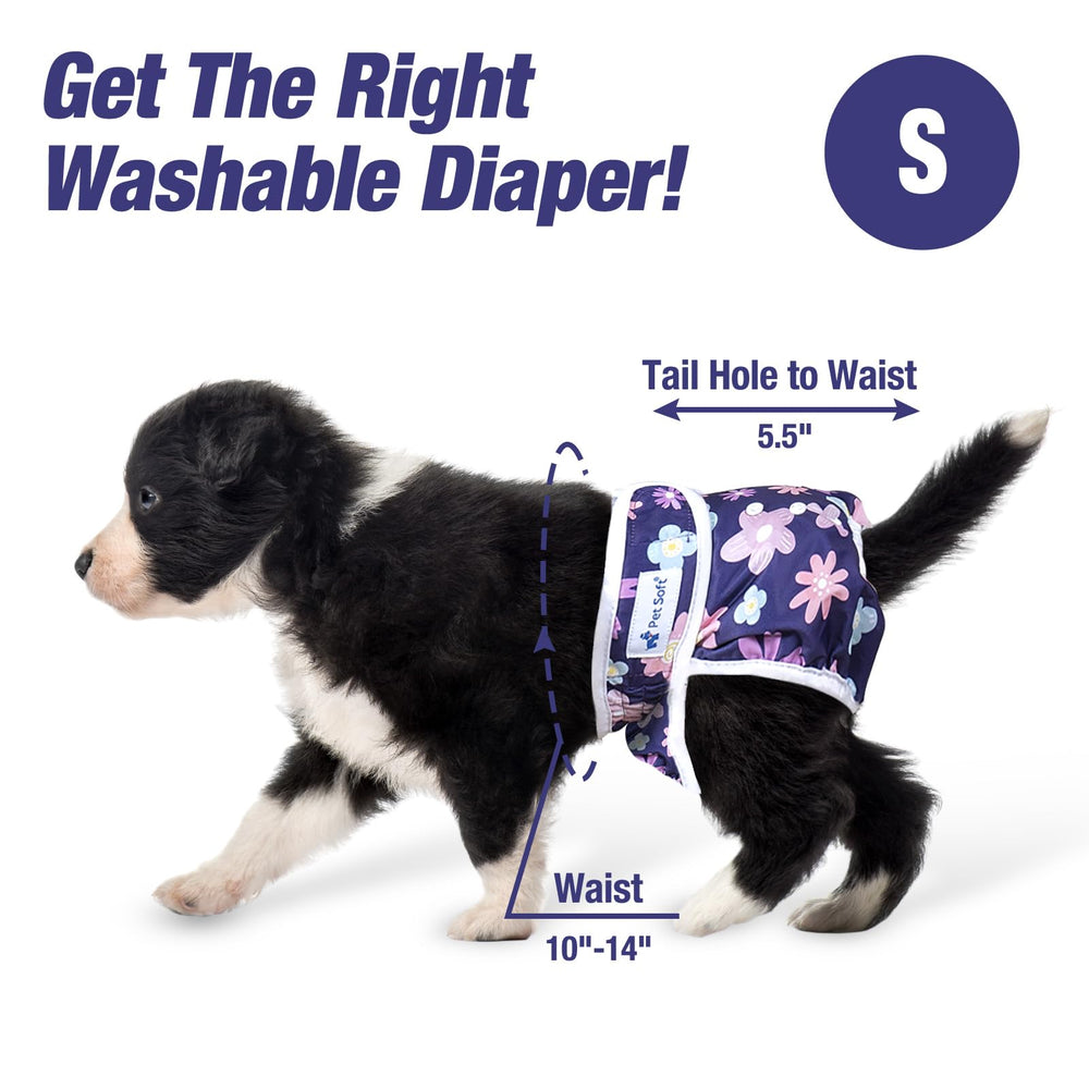 Pet Soft sizes XS-XL provide a customizable fit for small to medium dogs.