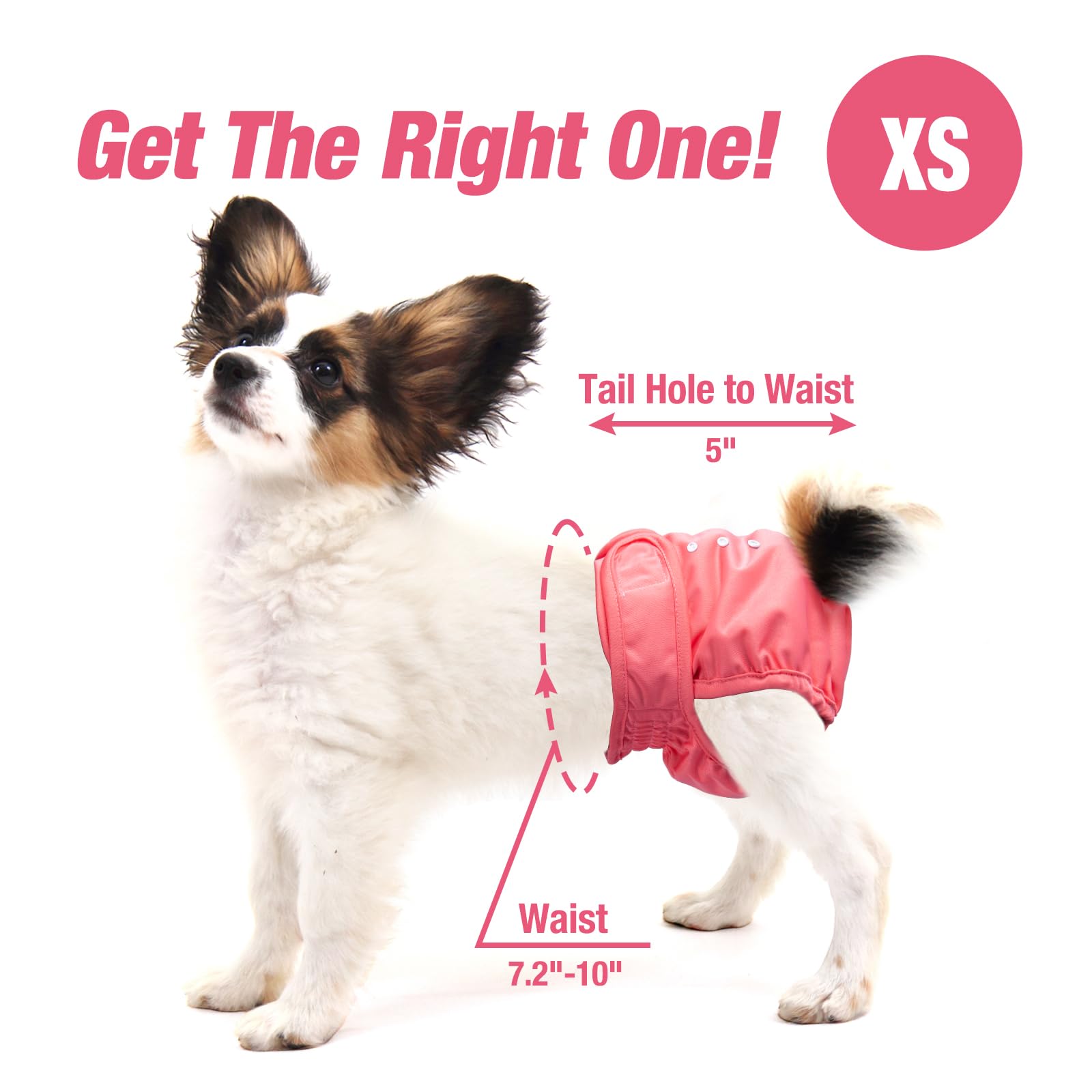 Pet Soft new-band-waistband image showcases double protection during rest.