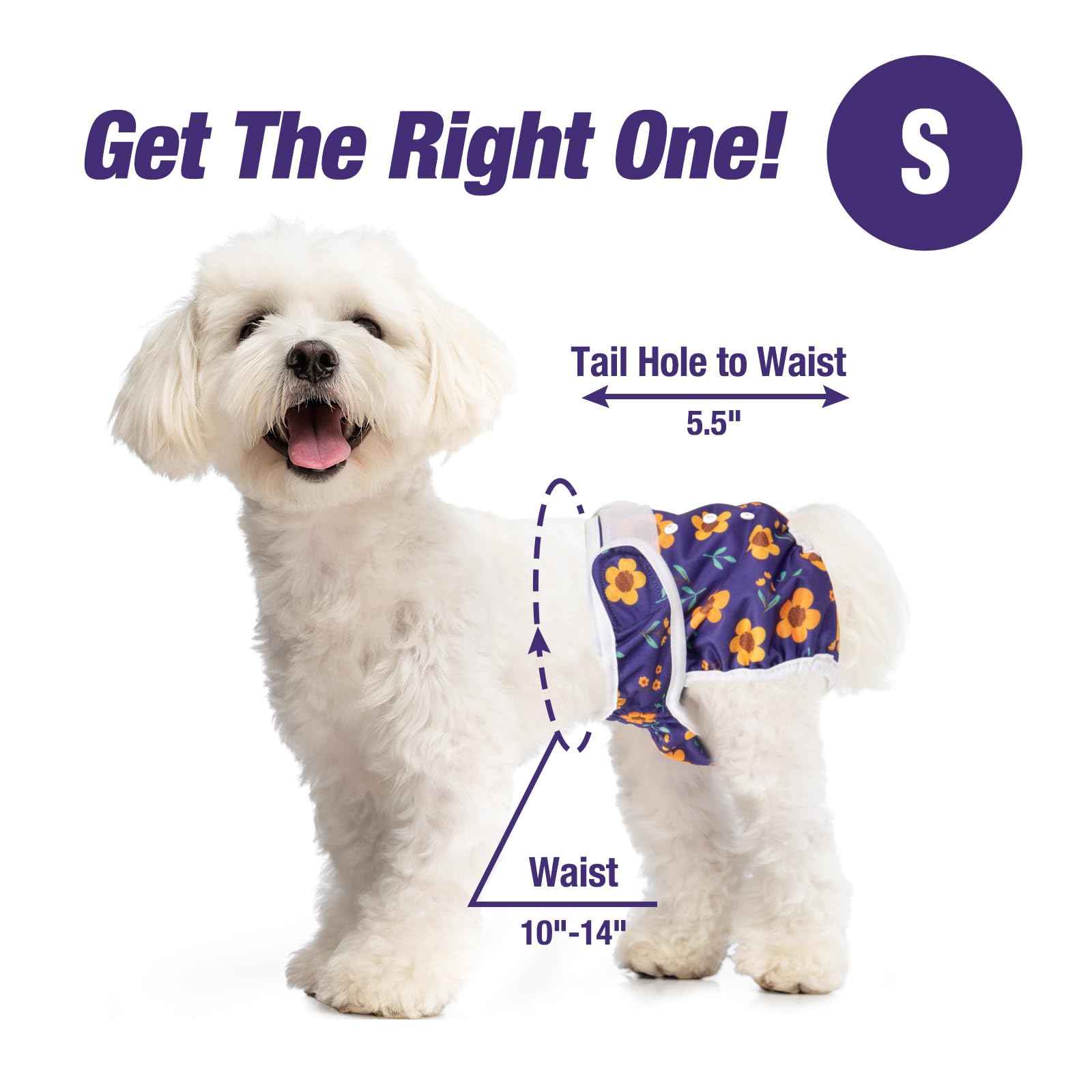 Pet Soft diapers with three flower patterns for daily use.
