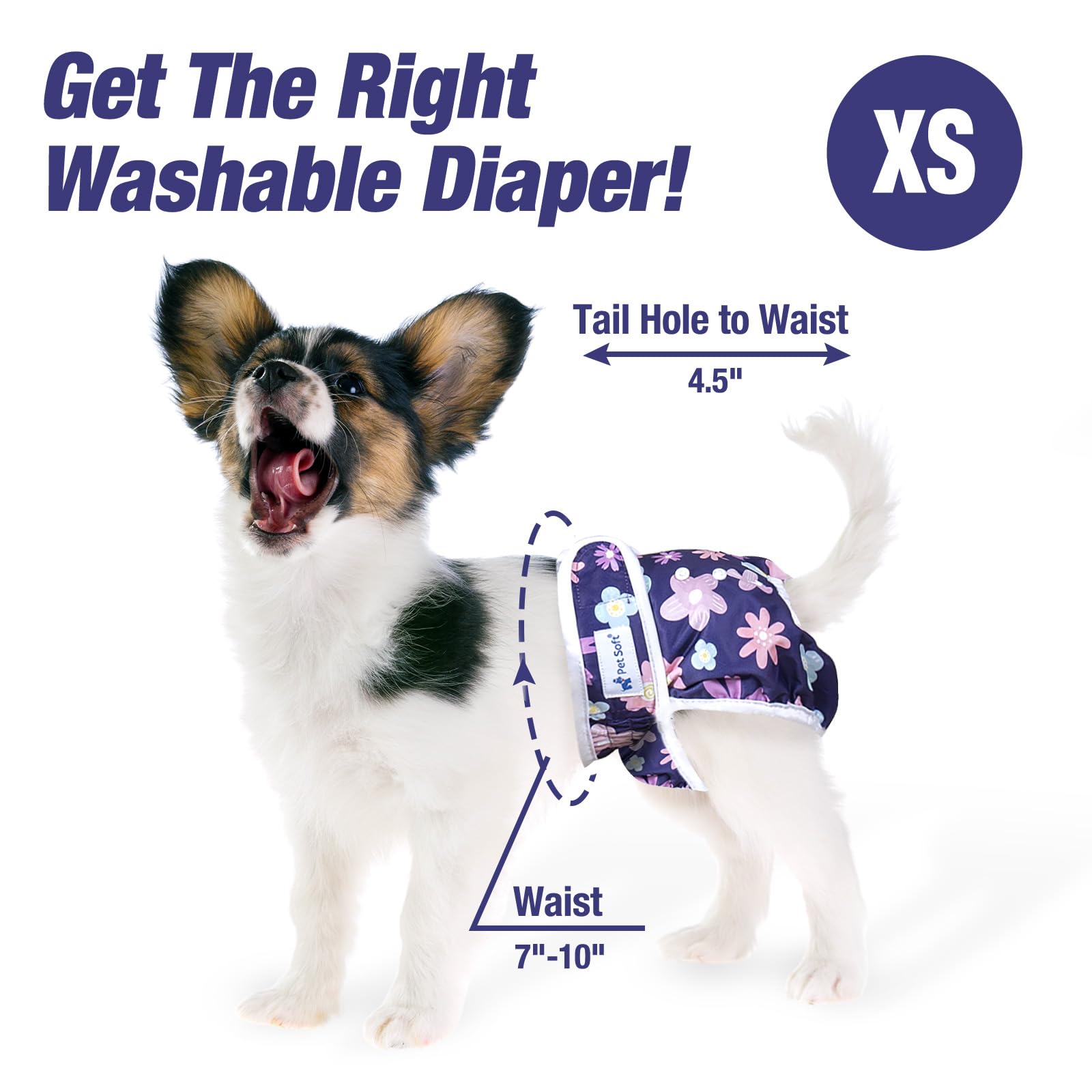 Pet Soft inner-absorbent pad image hints quick absorption and leak resistance.