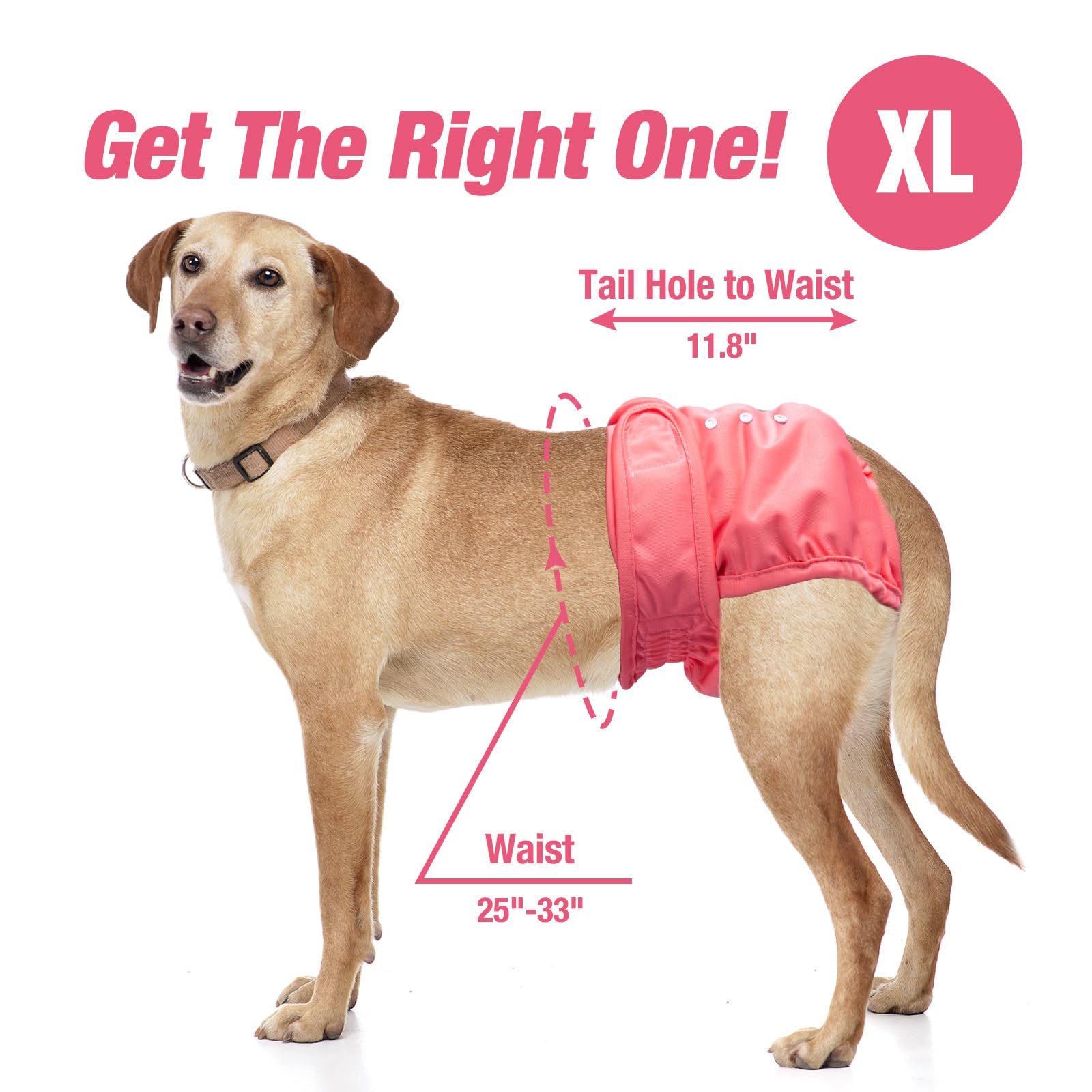 Pet Soft Washable Female Diapers new waistband offering leak protection when dog lies down
