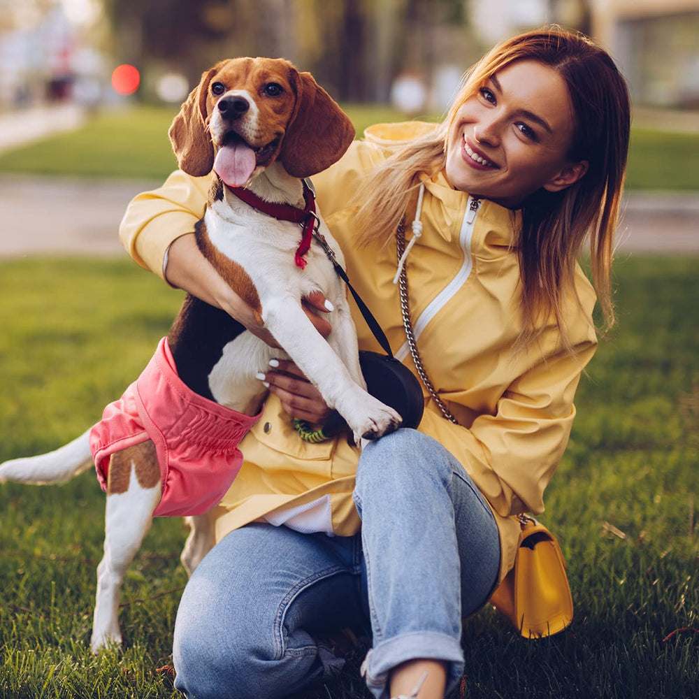 Pet Soft Washable Female Diapers quick-absorb inner pads help manage accidents