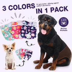 Pet Soft XS waistband closeup shows secure double protection for leaks.