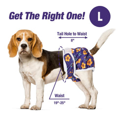 Pet Soft diapers emphasize strong magic tape for secure, slip-free wear during activity