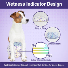 Pet Soft XS diaper fit guide illustrating comfortable size