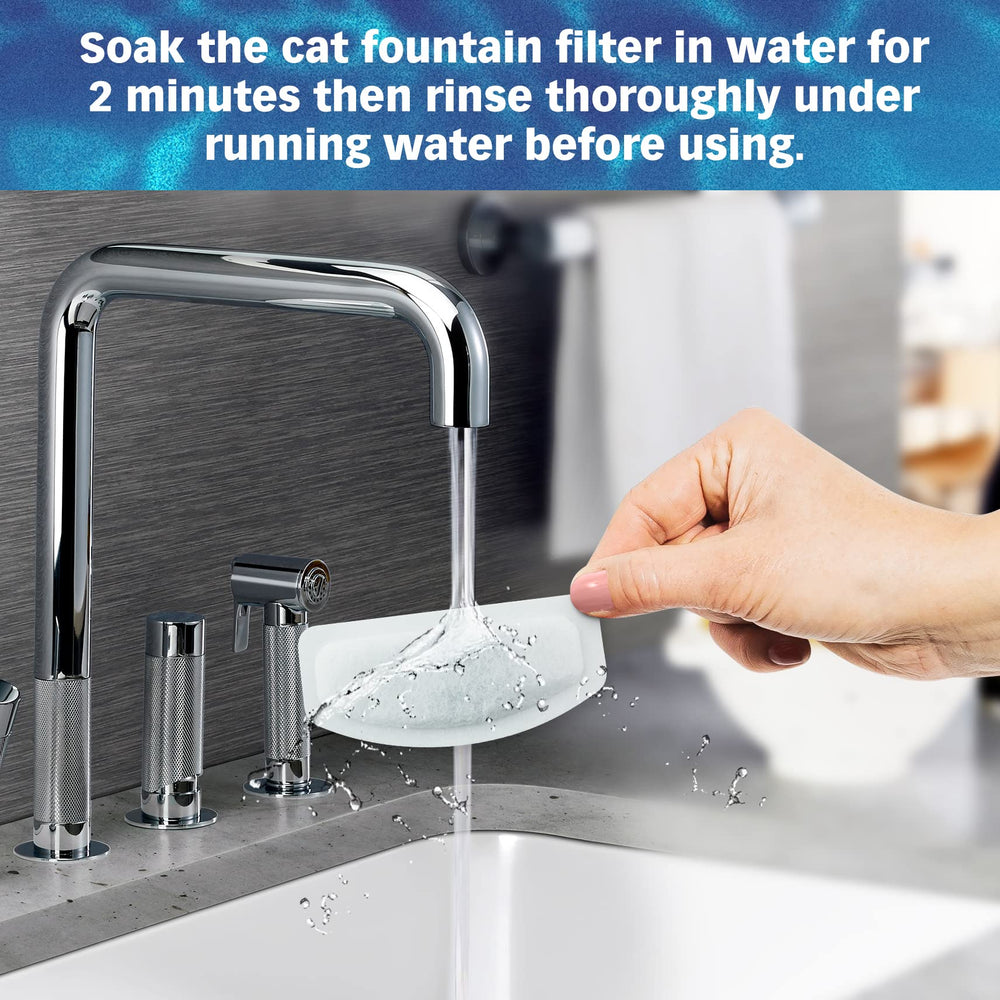 PET STANDARD mantenimiento de la fuente, limpieza regular para agua limpia.