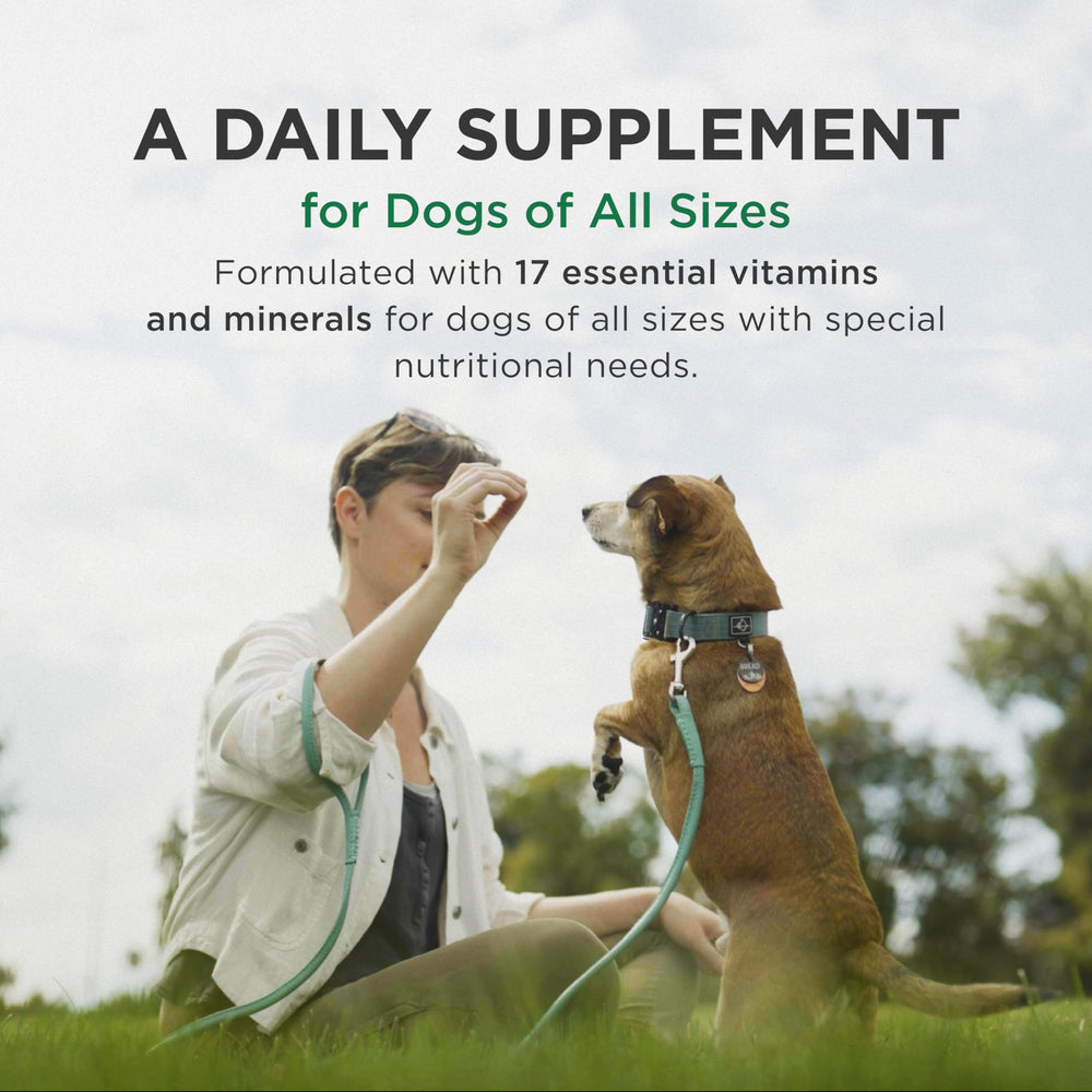 Pet-Tabs dog treat time image highlights a palatable daily supplement.