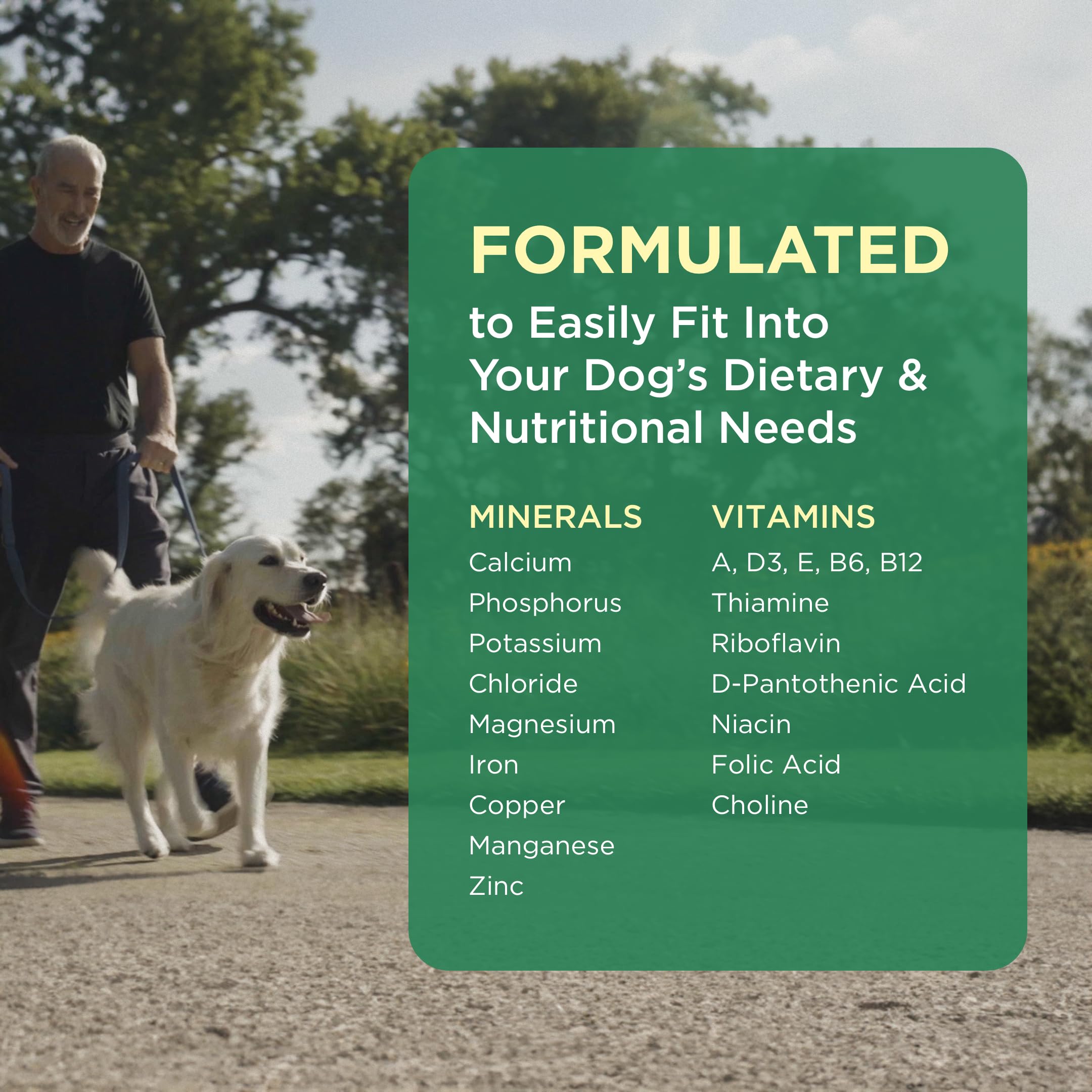 Pet-Tabs Plus promotes healthy skin and coat in dogs