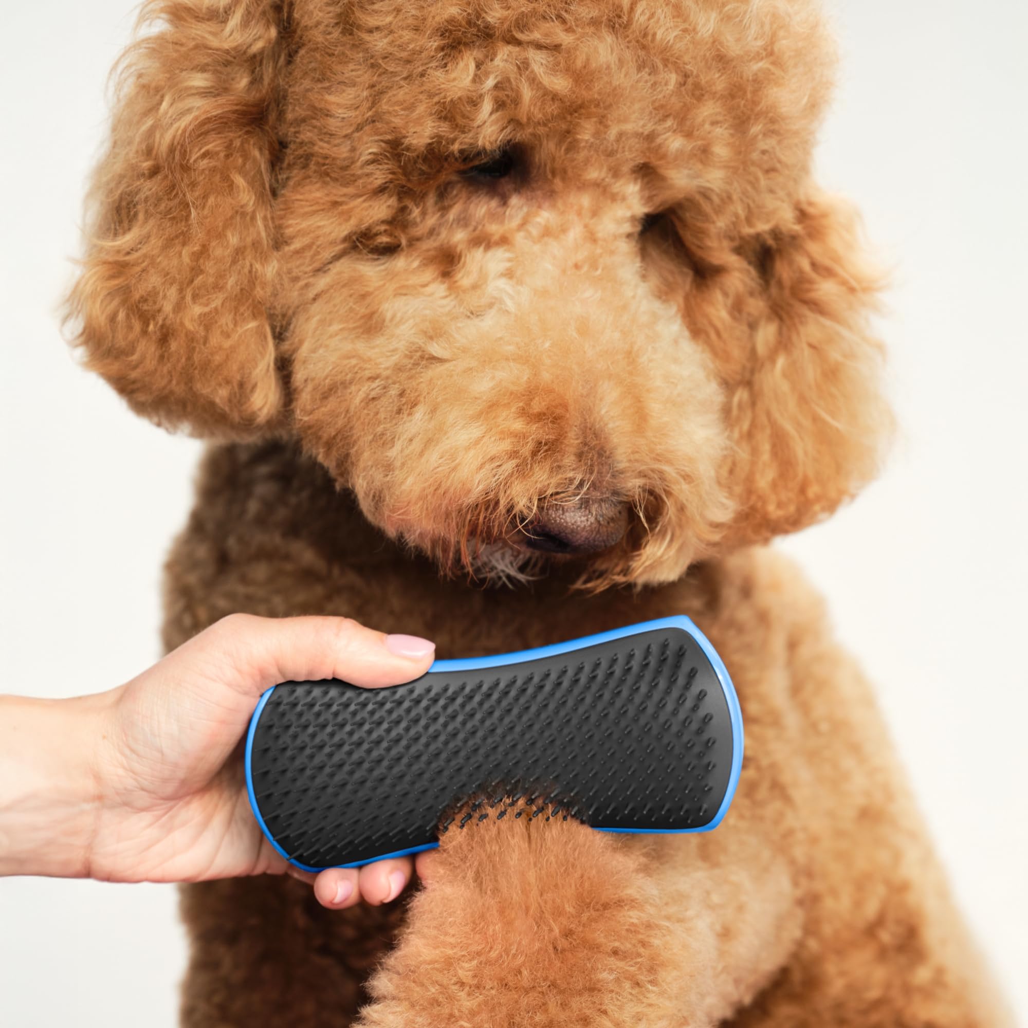 Pet Teezer bath brush with shampoo compatibility for a clean, shiny coat