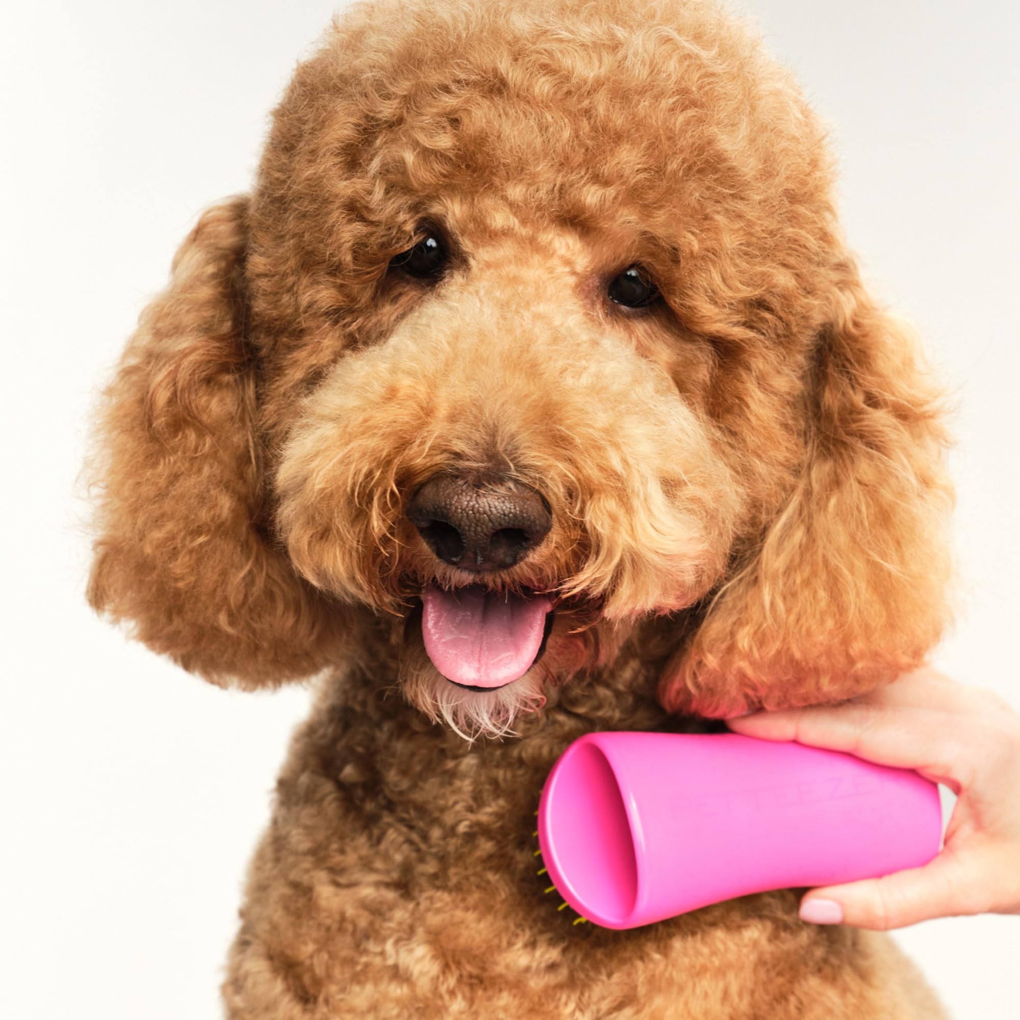 Pet Teezer detangling brush loose hair pickup helps reduce shedding.