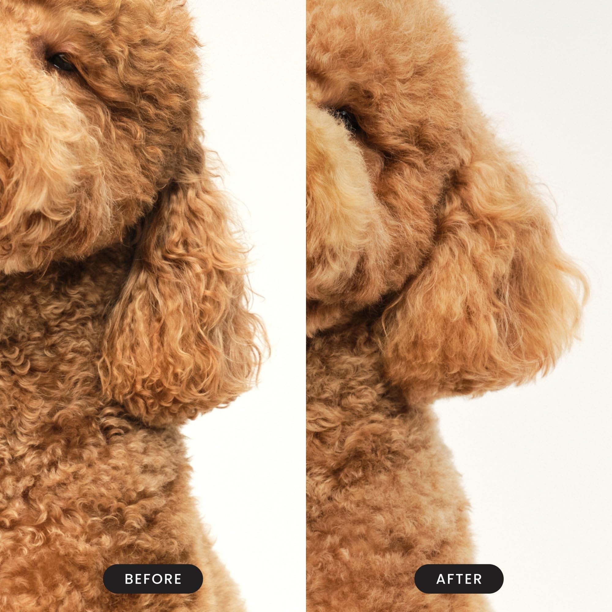 Pet Teezer detangling brush palm-ergonomic handle for comfortable extended grooming.